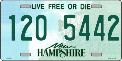 NH license plate 1205442