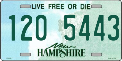 NH license plate 1205443