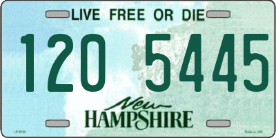 NH license plate 1205445