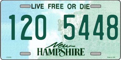 NH license plate 1205448
