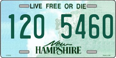 NH license plate 1205460