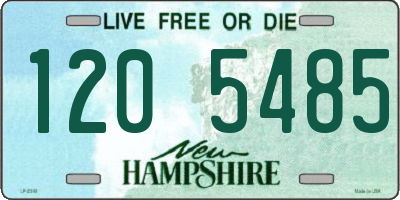 NH license plate 1205485