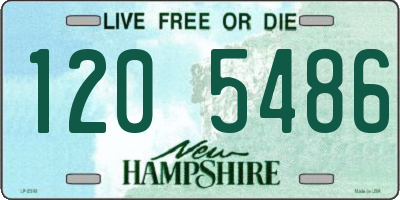 NH license plate 1205486