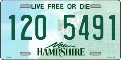 NH license plate 1205491