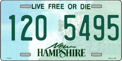NH license plate 1205495