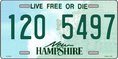NH license plate 1205497