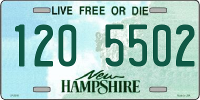 NH license plate 1205502