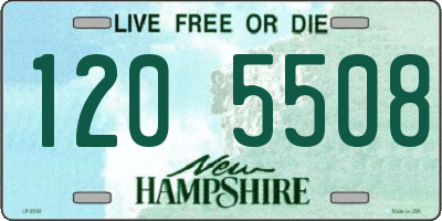 NH license plate 1205508