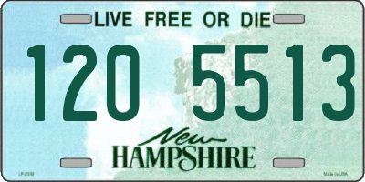NH license plate 1205513