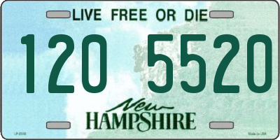 NH license plate 1205520