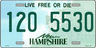 NH license plate 1205530