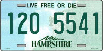 NH license plate 1205541
