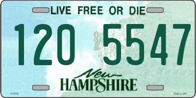NH license plate 1205547