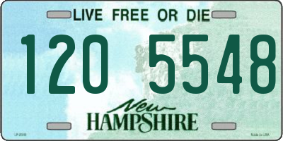 NH license plate 1205548