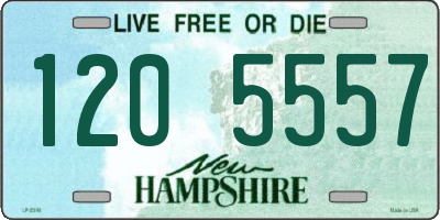 NH license plate 1205557