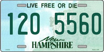 NH license plate 1205560