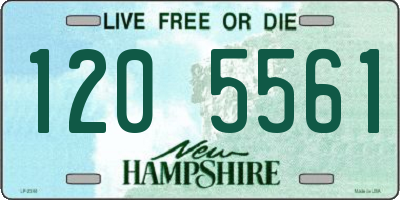 NH license plate 1205561