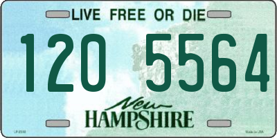 NH license plate 1205564