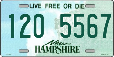 NH license plate 1205567