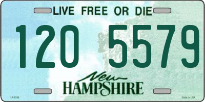 NH license plate 1205579
