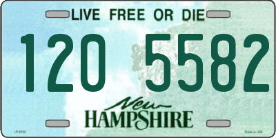NH license plate 1205582