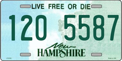 NH license plate 1205587