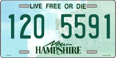 NH license plate 1205591