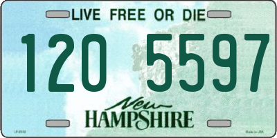 NH license plate 1205597