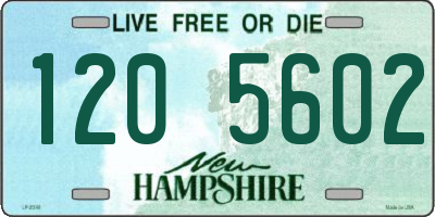 NH license plate 1205602
