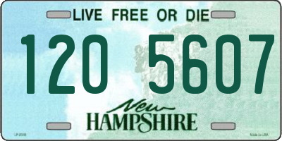 NH license plate 1205607