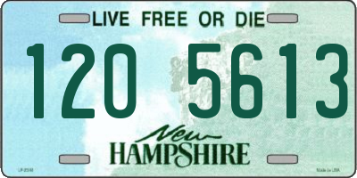 NH license plate 1205613