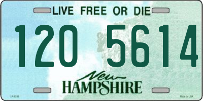 NH license plate 1205614