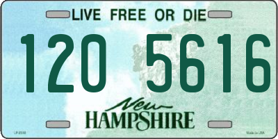 NH license plate 1205616