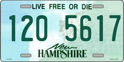 NH license plate 1205617