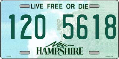NH license plate 1205618