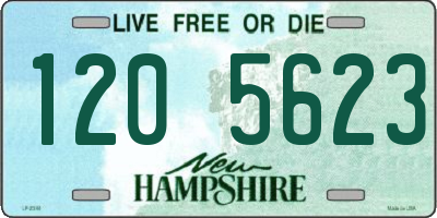 NH license plate 1205623