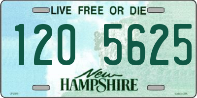 NH license plate 1205625