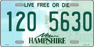 NH license plate 1205630
