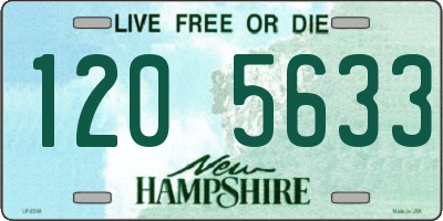 NH license plate 1205633