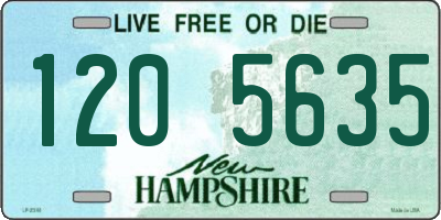 NH license plate 1205635