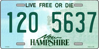 NH license plate 1205637