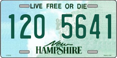 NH license plate 1205641
