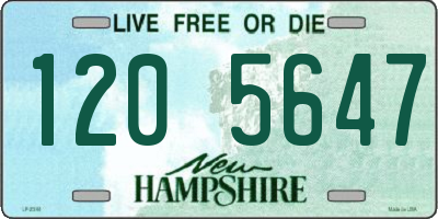 NH license plate 1205647