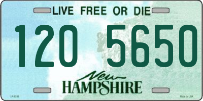 NH license plate 1205650