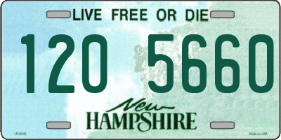 NH license plate 1205660