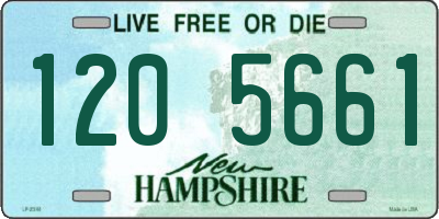 NH license plate 1205661