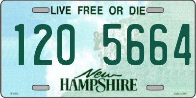 NH license plate 1205664