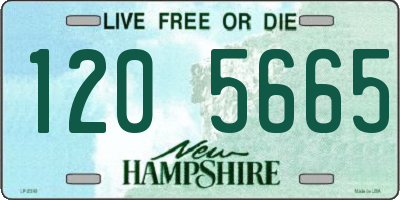 NH license plate 1205665