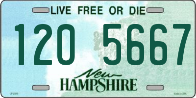 NH license plate 1205667