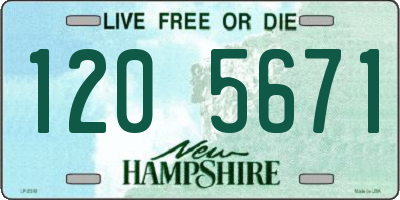 NH license plate 1205671